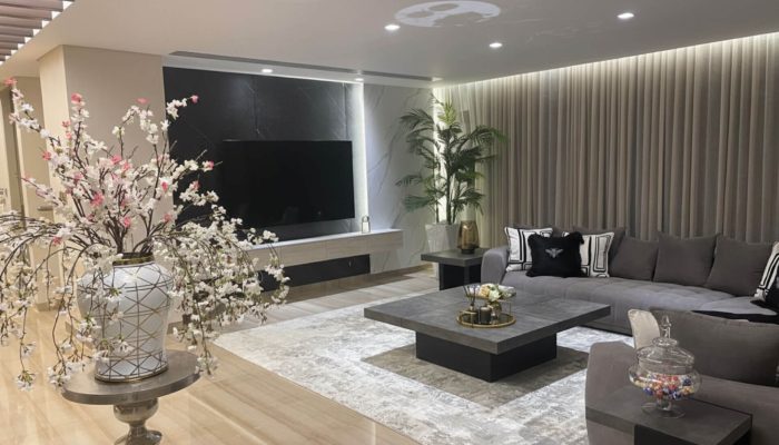 Modern-Chic-Living-Room