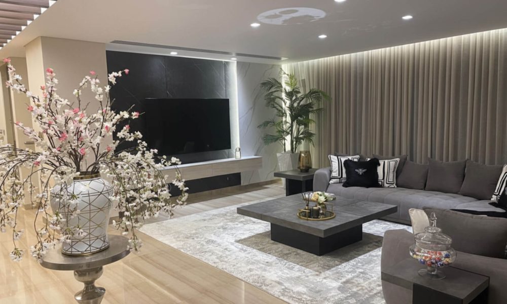 Modern-Chic-Living-Room